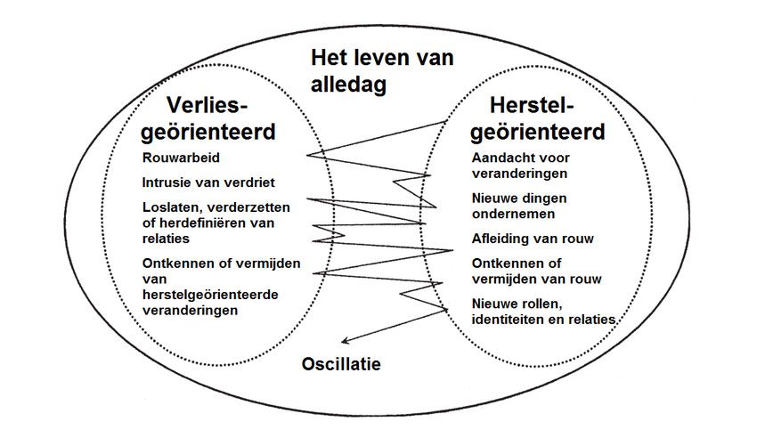 het duale procesmodel van rouw naar Stroebe en Schutt