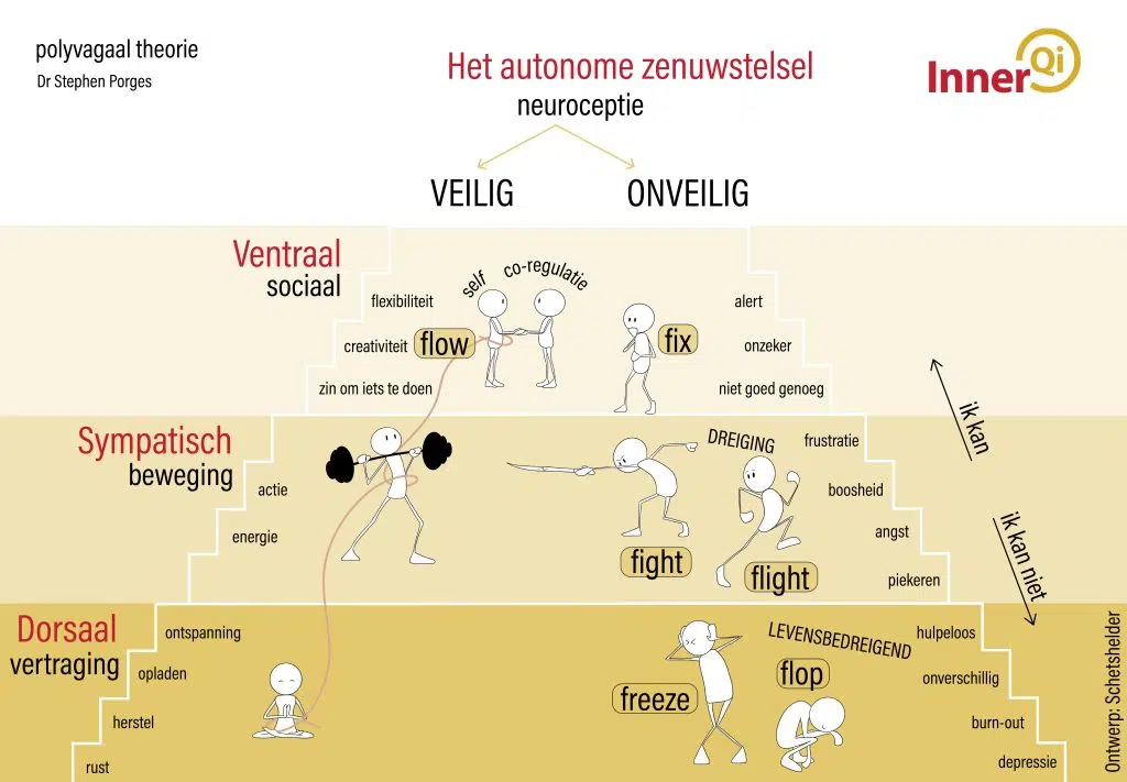 schematische weergave Polyvagaal theorie